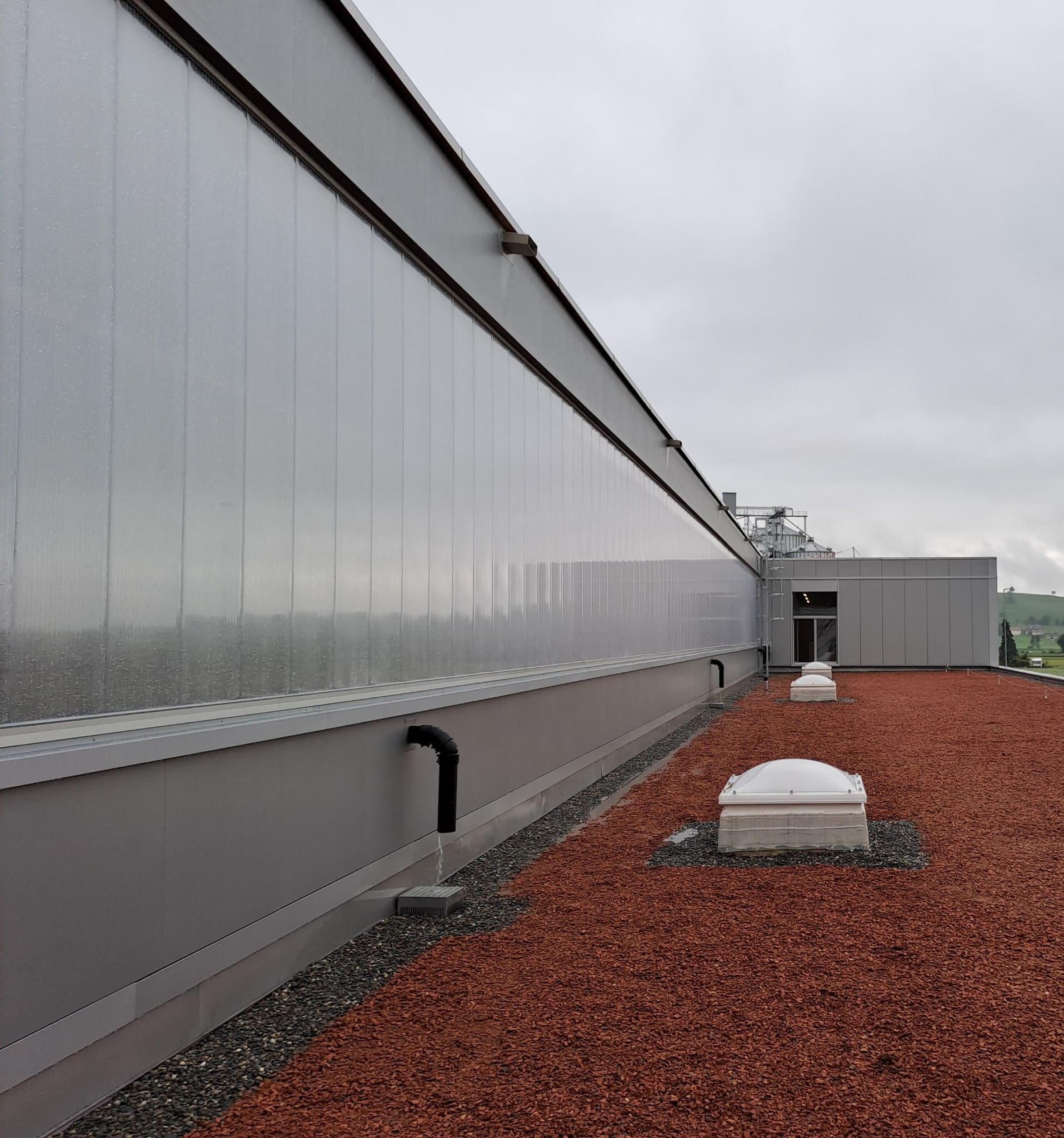 Flachdach und Vertikalfassade